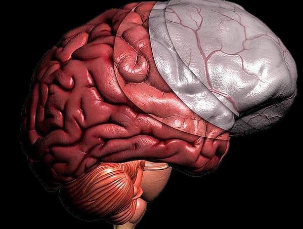 yparaxnodis aimoragia